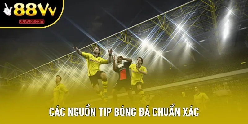 Các nguồn tip bóng đá chuẩn xác